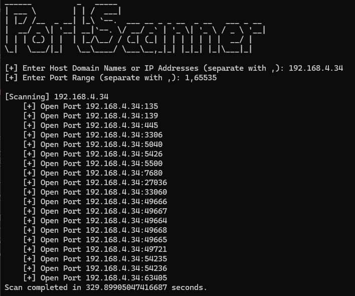 Screenshot of Port Scanner Project.